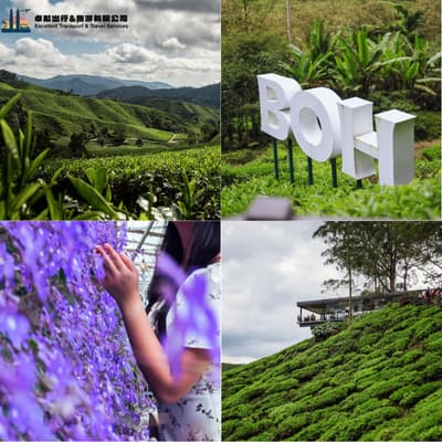 Cameron Highlands